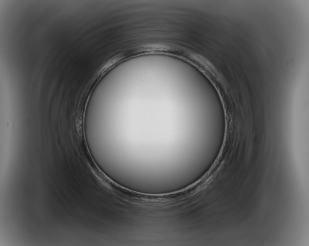 X0000085221225200703090821