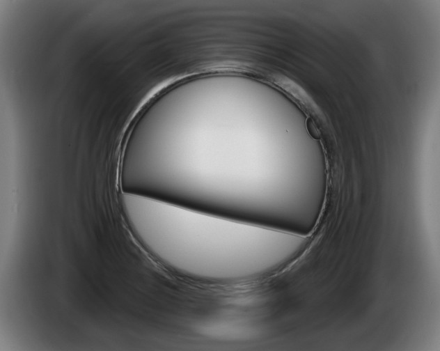 X0000085221228200703090821