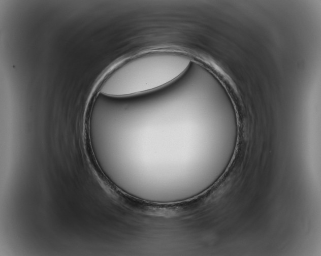 X0000085221229200703090821