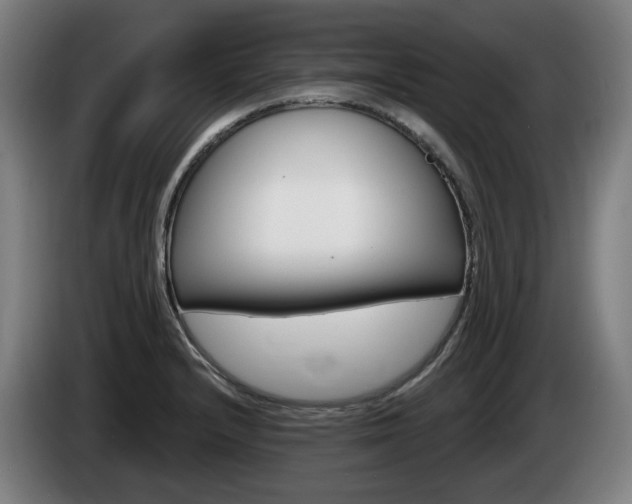 X0000085221232200703090821