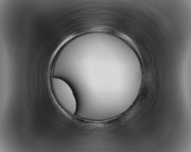 X0000085221235200703090821