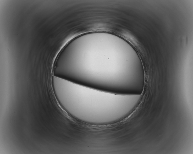 X0000085221236200703090821