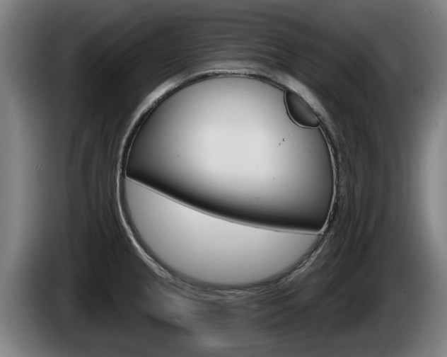 X0000085221237200703090821