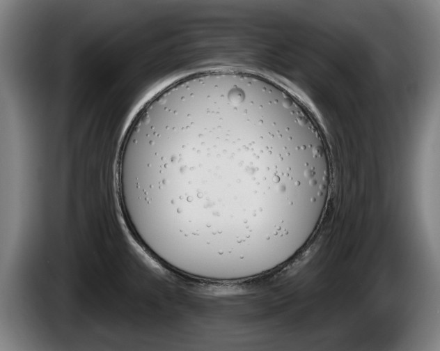 X0000085221239200703090821