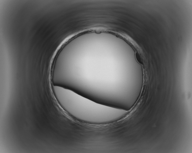 X0000085221240200703090821