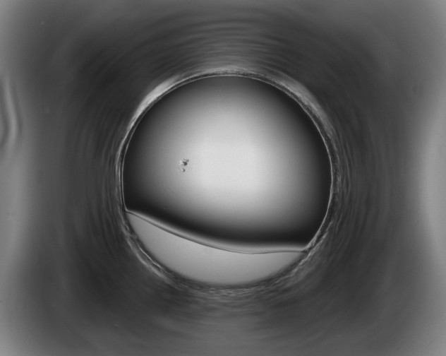 X0000085221242200703090821