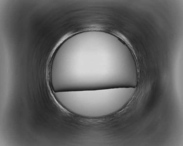 X0000085221243200703090821