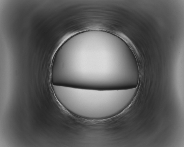 X0000085221244200703090821