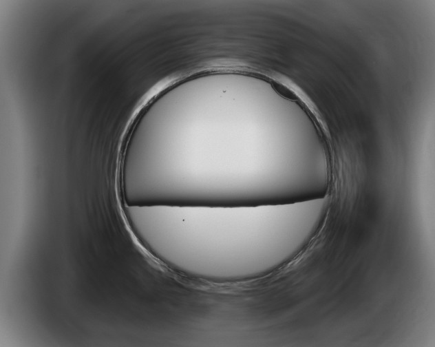 X0000085221245200703090821