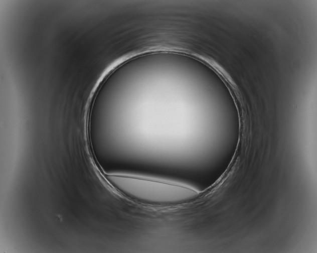 X0000085221246200703090821