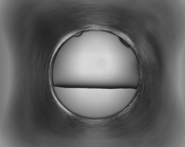 X0000085221247200703090821