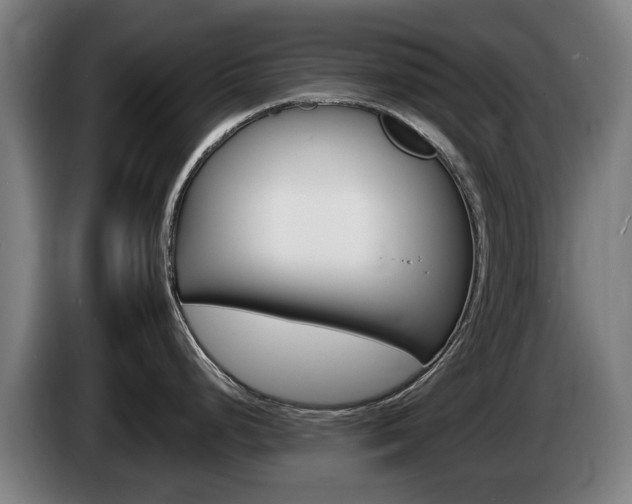 X0000085221248200703090821