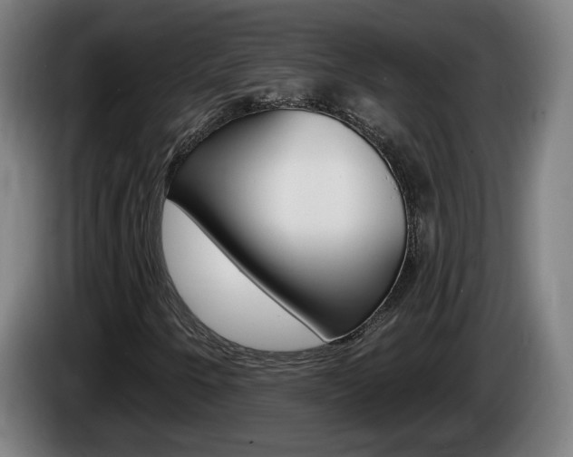 X0000085221250200703090820