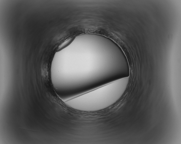 X0000085221252200703090820