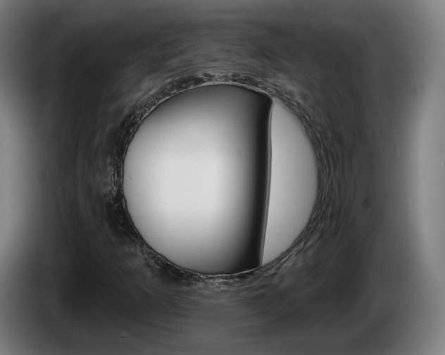 X0000085221253200703090820