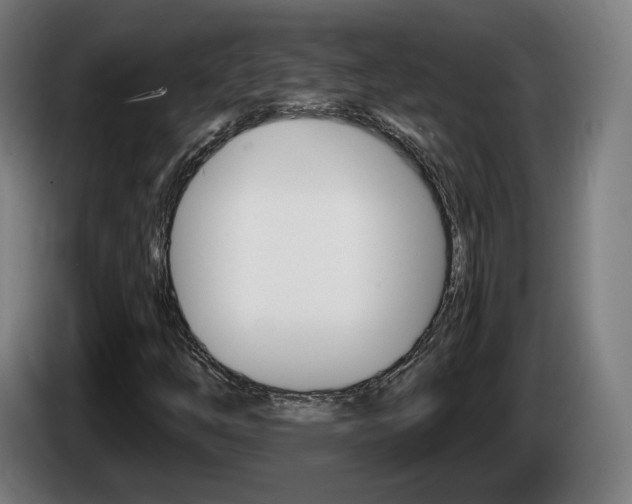 X0000085221254200703090820