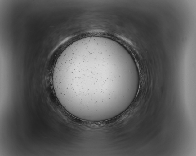 X0000085221255200703090820