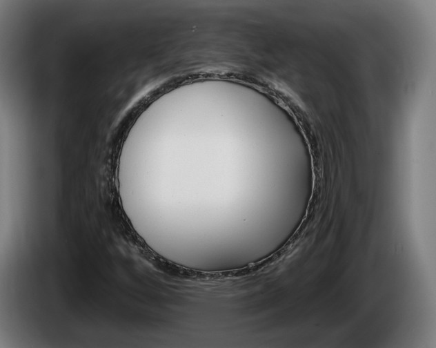 X0000085221256200703090820