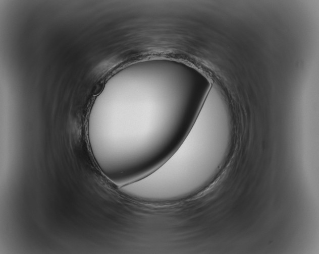 X0000085221257200703090820