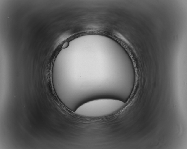 X0000085221259200703090820