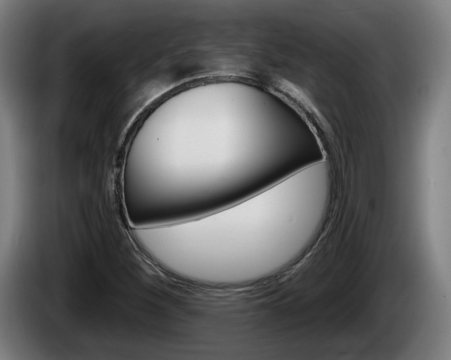 X0000085221260200703090820