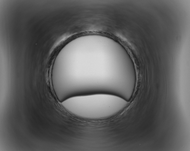 X0000085221262200703090820