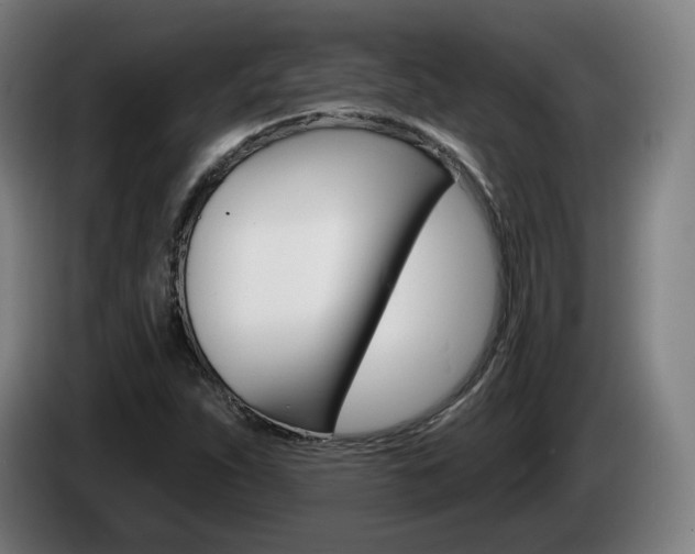 X0000085221263200703090820