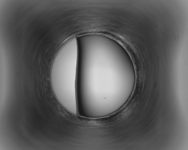 X0000085221265200703090820