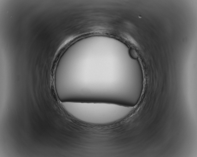 X0000085221267200703090820