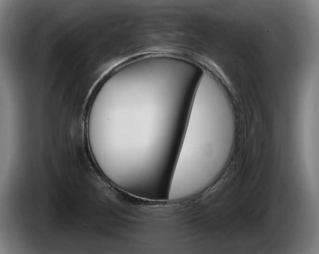 X0000085221268200703090820
