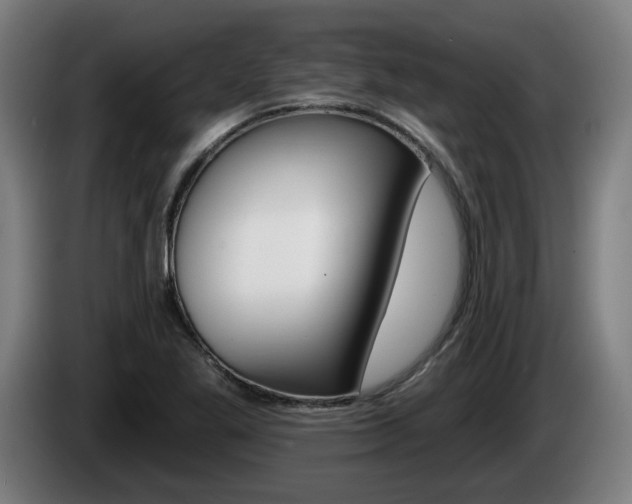 X0000085221269200703090820