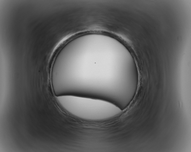 X0000085221271200703090820