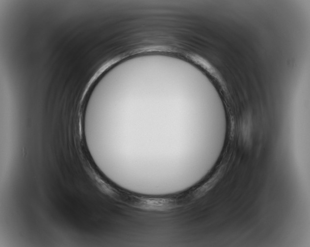 X0000085221274200703090820
