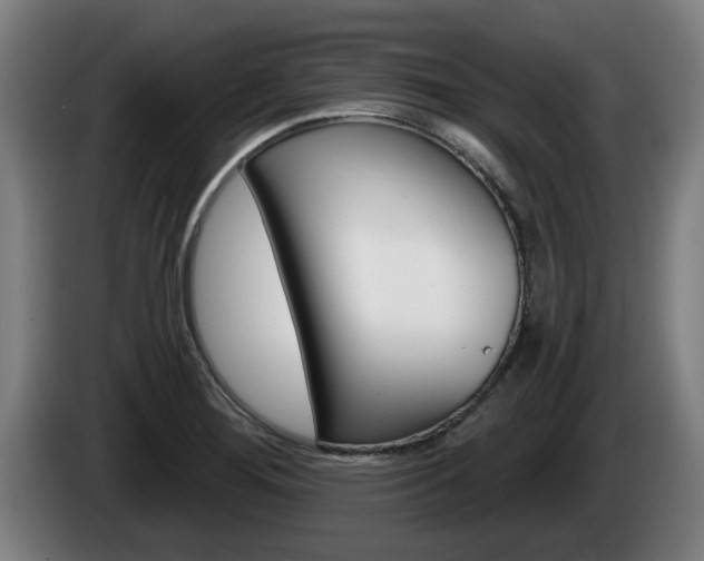 X0000085221276200703090820