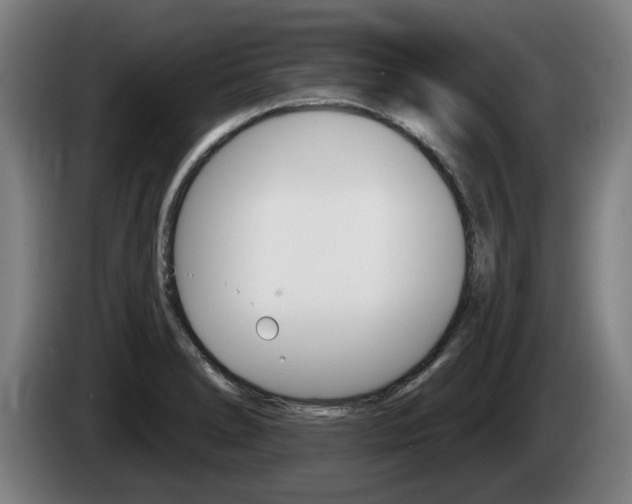 X0000085221278200703090820