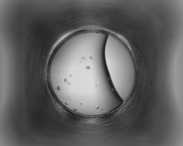 X0000085221279200703090820