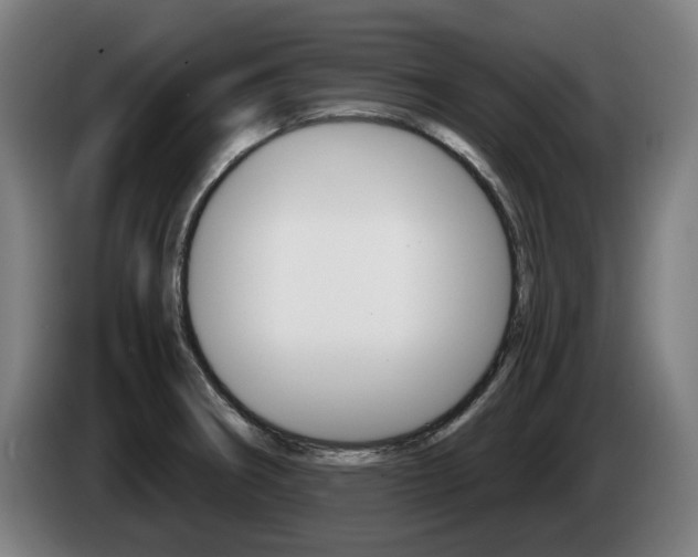 X0000085221282200703090820