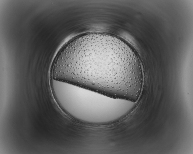 X0000085221283200703090820