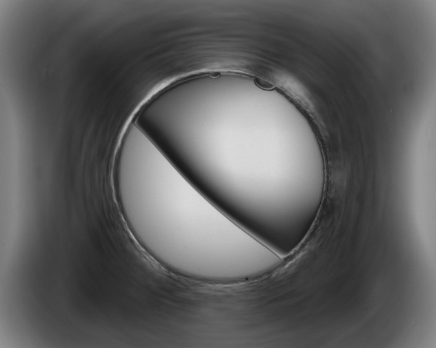 X0000085221284200703090820