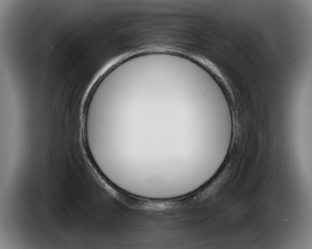 X0000085221286200703090820