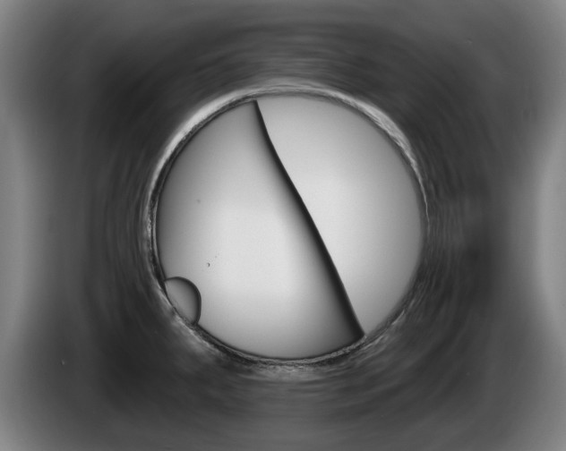 X0000085221287200703090820