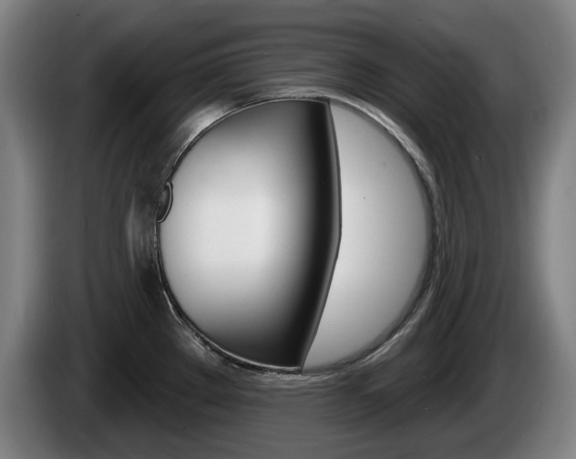 X0000085221289200703090820