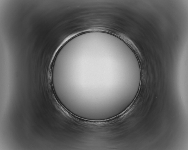 X0000085221292200703090820