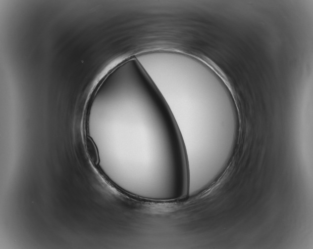 X0000085221293200703090820