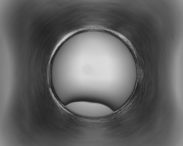 X0000085221295200703090820