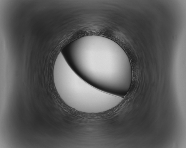 X0000085221297200703090819