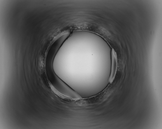X0000085221298200703090819
