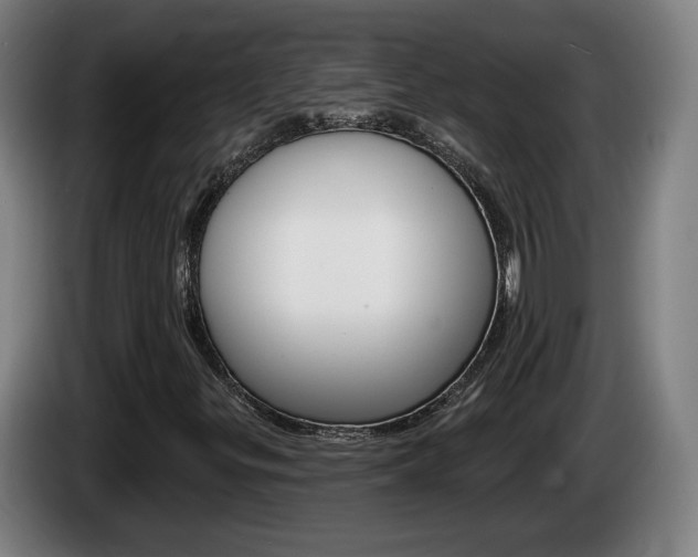 X0000085221299200703090819