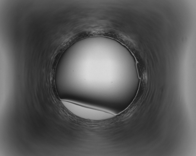 X0000085221300200703090819