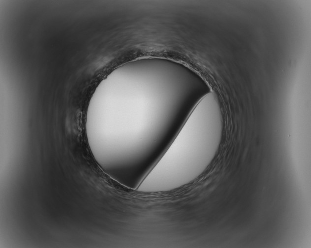 X0000085221301200703090819